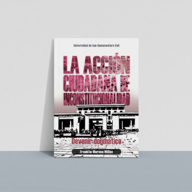 accion_ciudadana_inconstitucionalidad