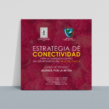 estrategia_conectividad_mora