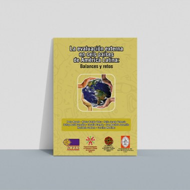 evaluacion_externa_seis_paises