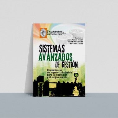 sistemas_avanzados_gestion2