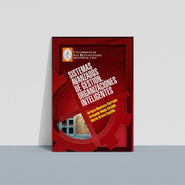sistemas_avanzados_gestion