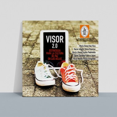 visor_2